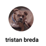 Tristan Breda